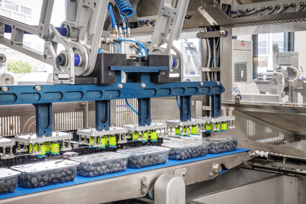 Automatische casepacker voor het verpakken van trays met blauwe bessen in dozen binnen een AGF-verpakkingslijn.