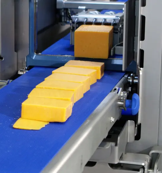 Blok kaas wordt automatisch in gelijkmatige plakken gesneden op een transportband binnen een industriële kaasverwerkingslijn.